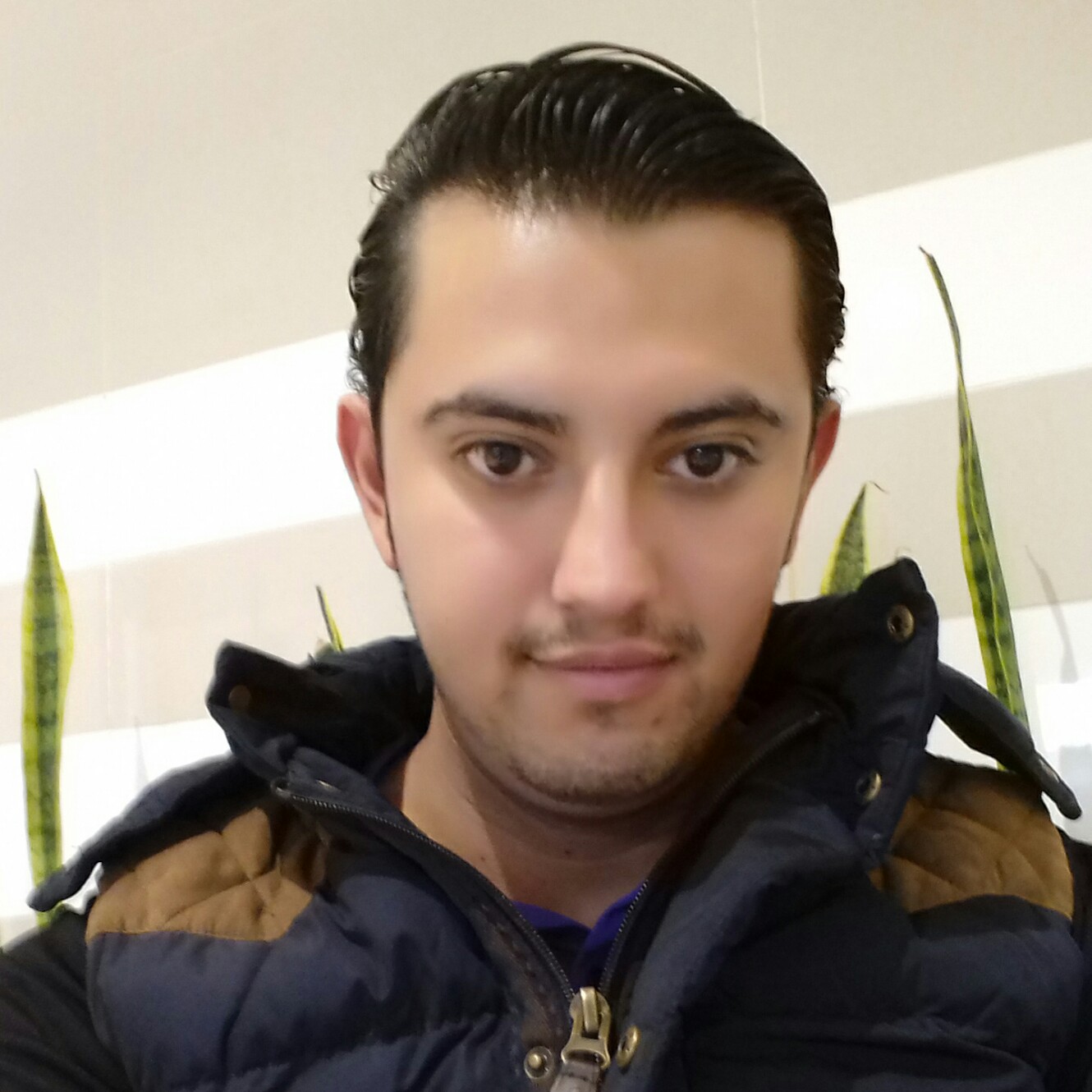 Picsart profile picture for @weblog